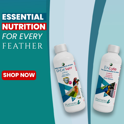 WEBSITE BANNER 1080 1080