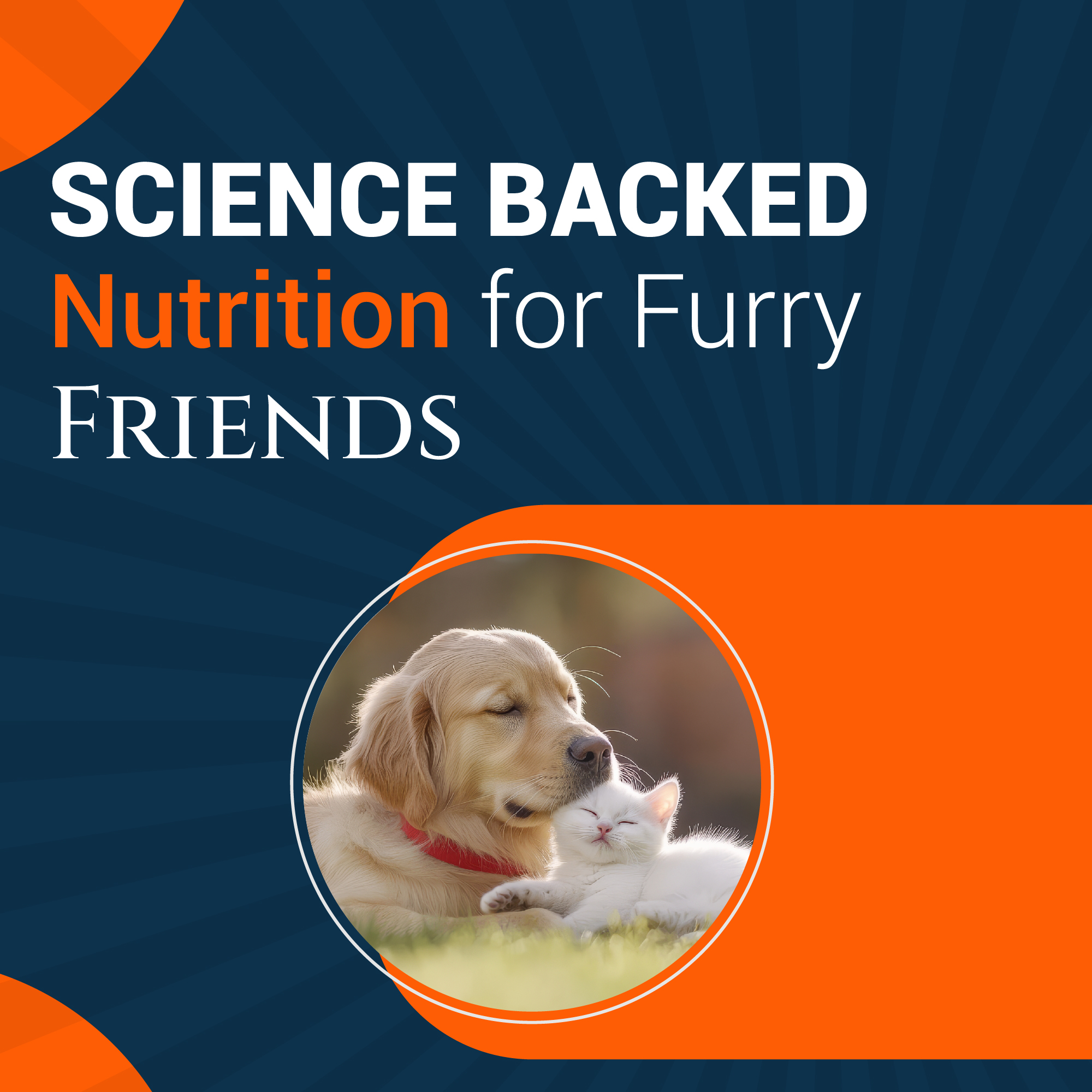 WEBSITE BANNER 1080