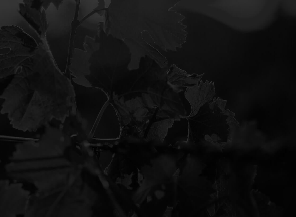 wine-sleder-3-bg-min-1.jpg