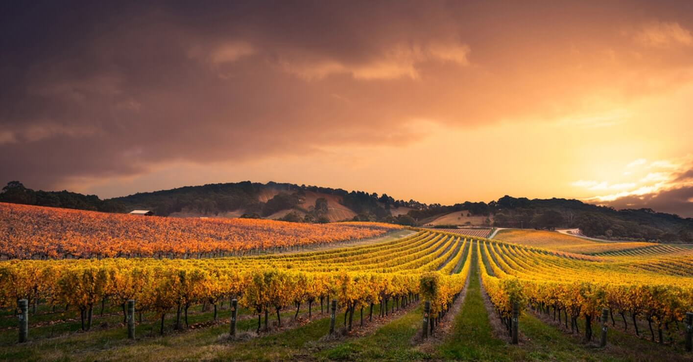 wine-slider-2-img-min-1.jpg